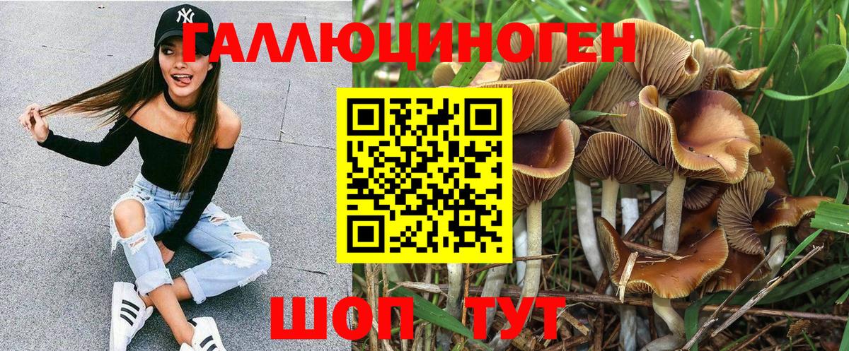 купить наркотик  Галлюциногенные грибы Psilocybine cubensis  Вход с VPN  Гусев 