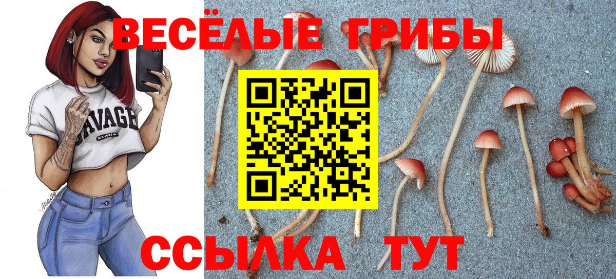Галлюциногенные грибы MAGIC MUSHROOMS Гусев