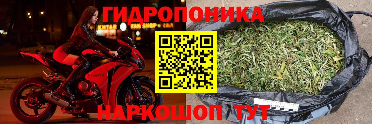 Каннабис план  Конопля планчик  Вход с VPN  Гусев  Канабис AK-47  Каннабис тримм 